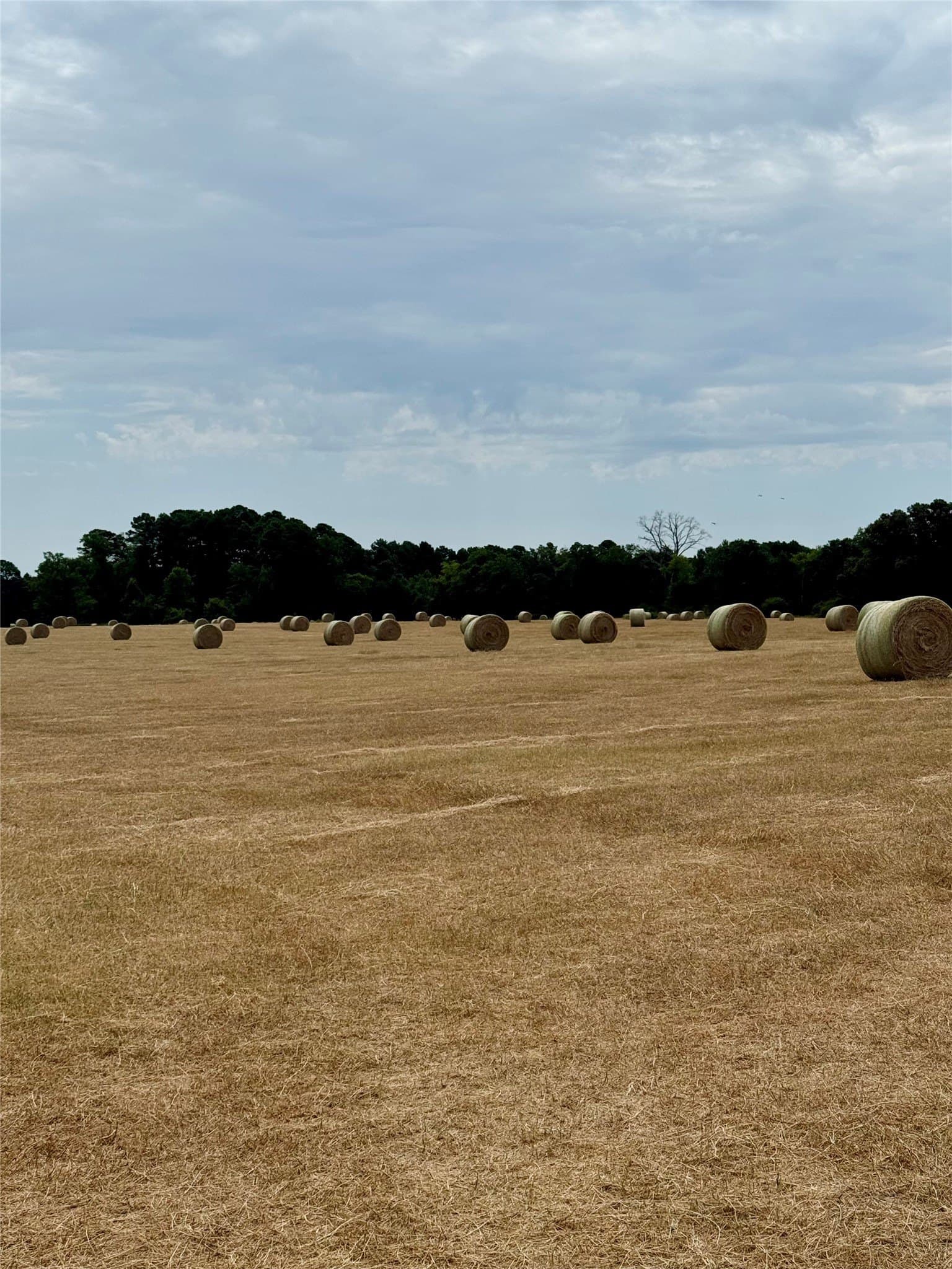 123.67 acres in Wood County - photo 38