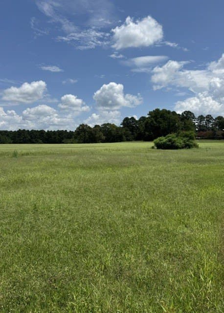 123.67 acres in Wood County - photo 4