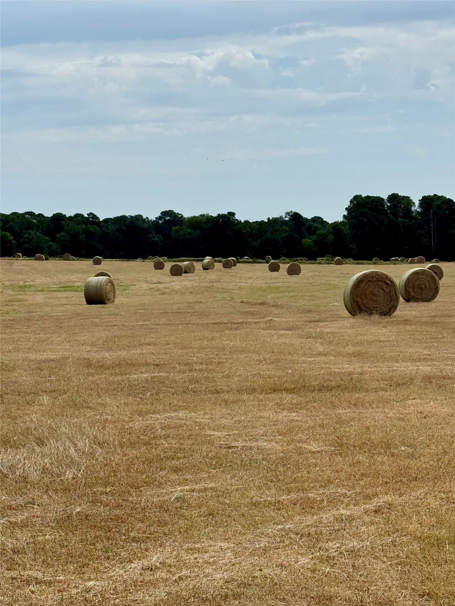 123.67 acres in Wood County - photo 39
