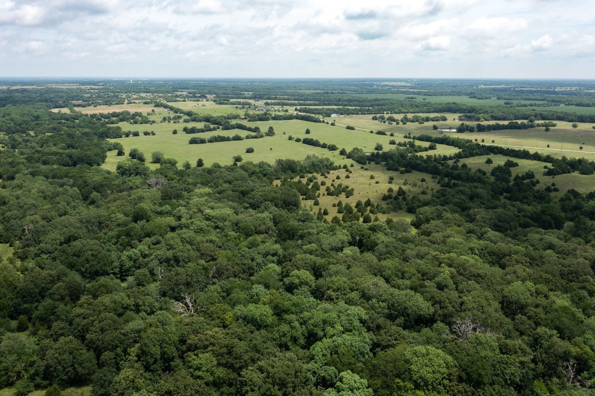 174.79 acres in Hunt County gallery image 2
