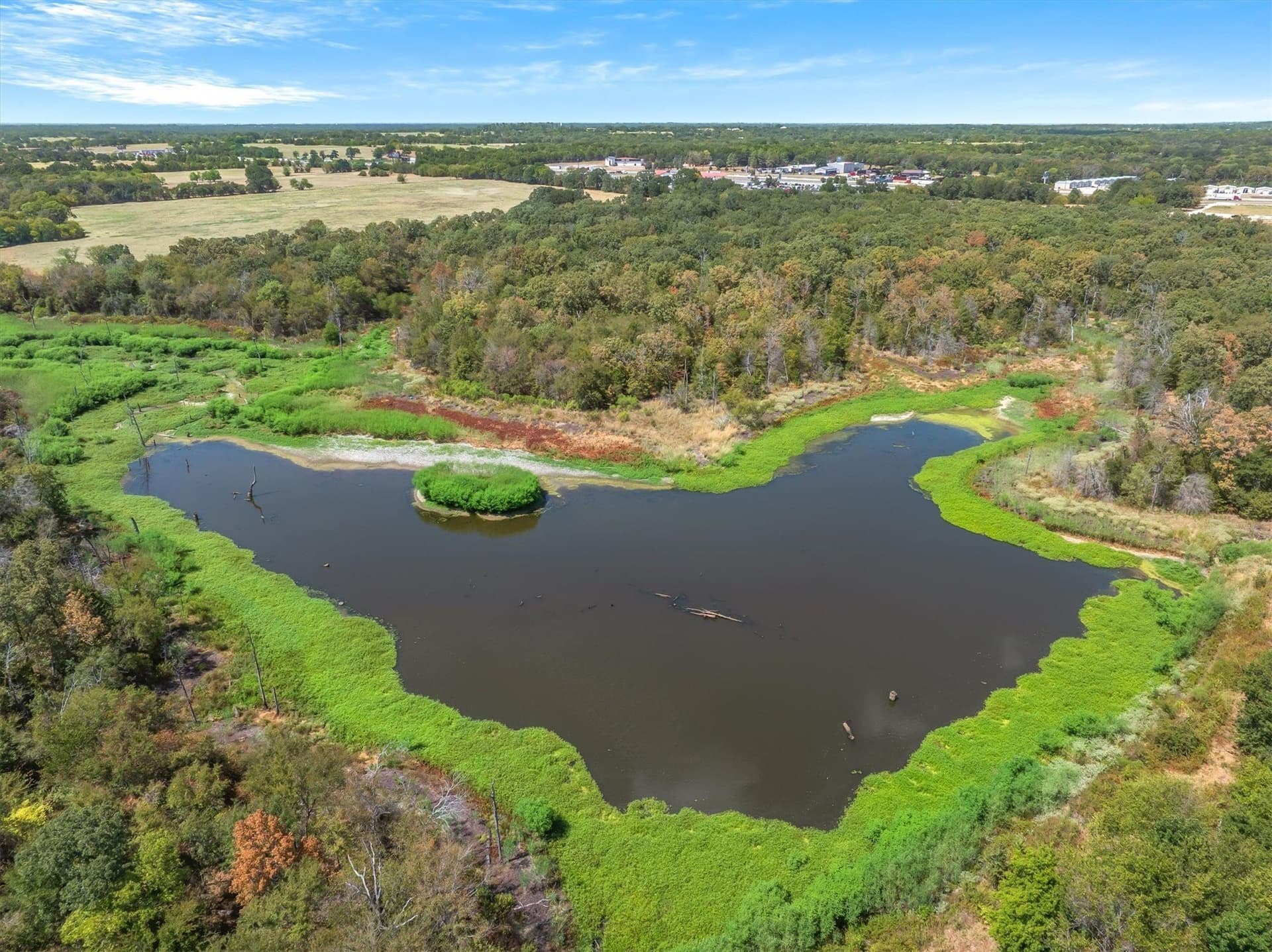 60.28 acres in Van Zandt County - photo 6