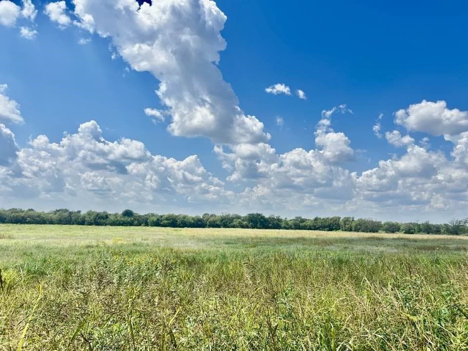 10.09 acres in Hunt County gallery image 2