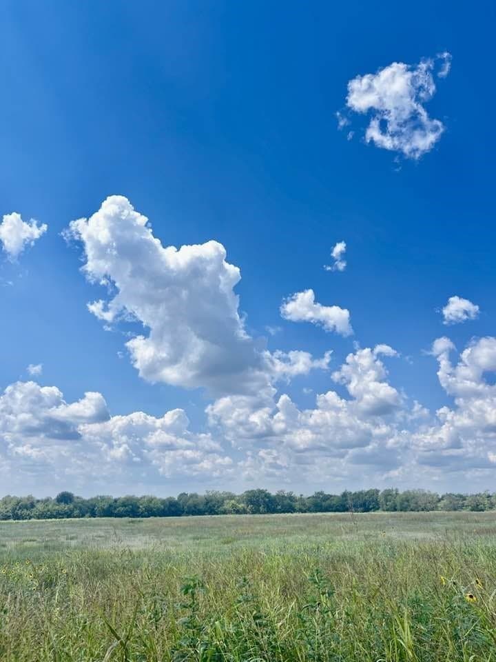 10.09 acres in Hunt County gallery image 4