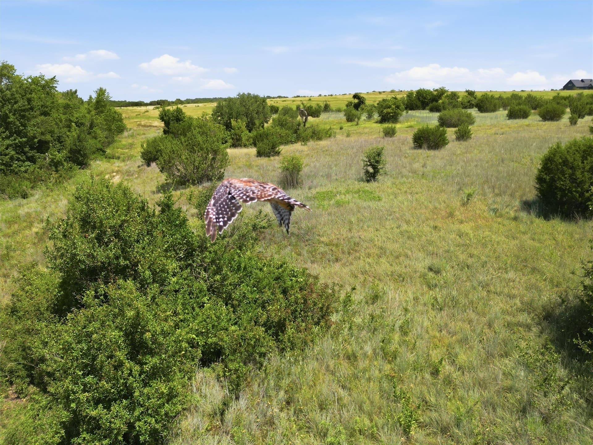 3.72 acres in Hood County - photo 12