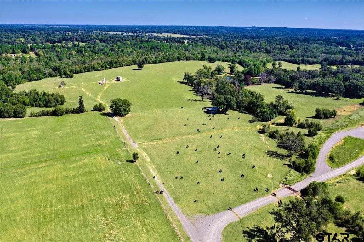 196.42 acres in Smith County - photo 31