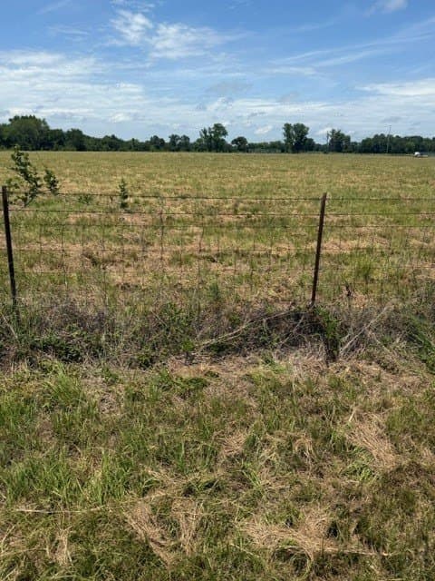 26.44 acres in Van Zandt County - photo 5