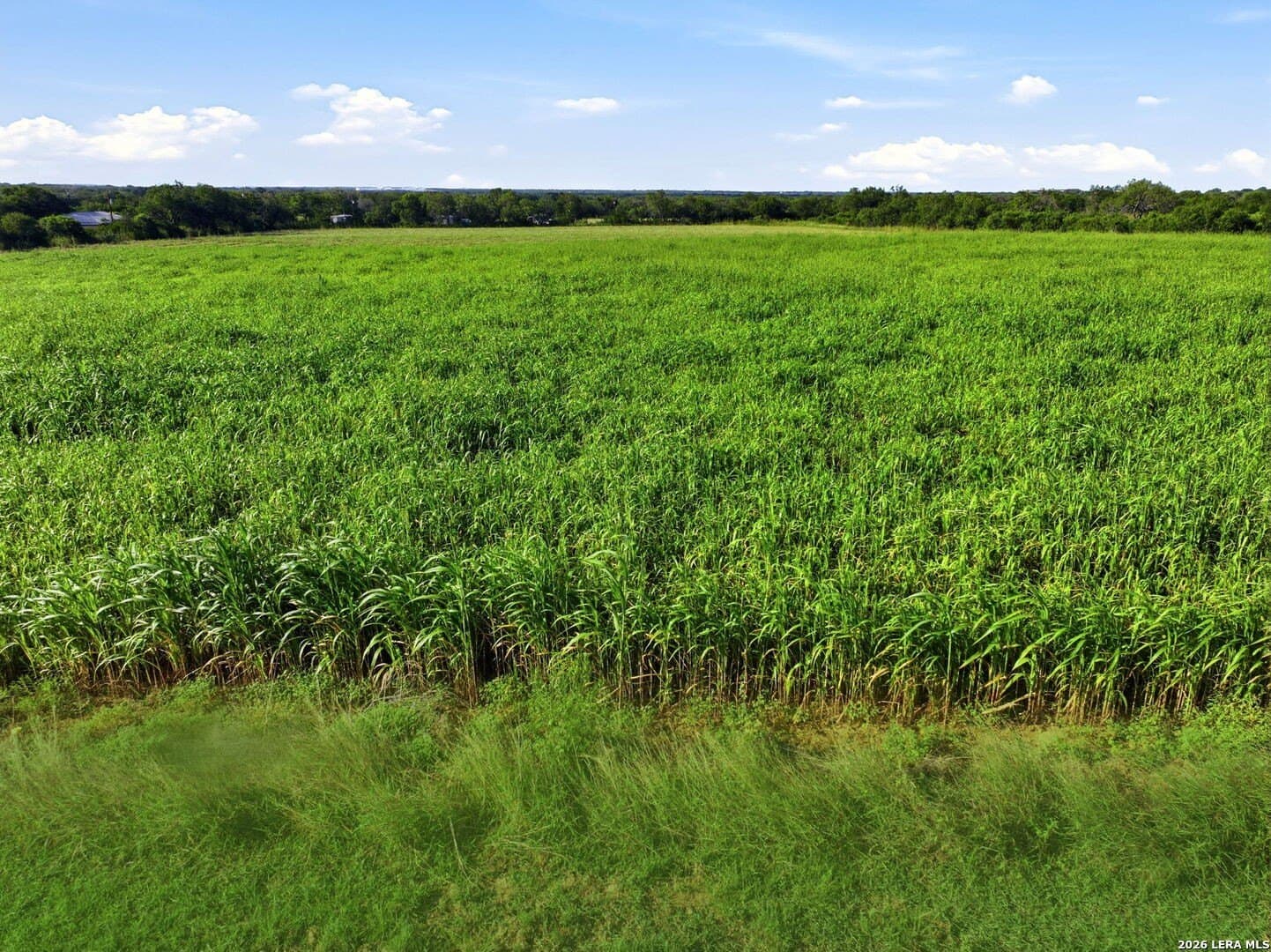 26 acres in Bexar County - photo 20