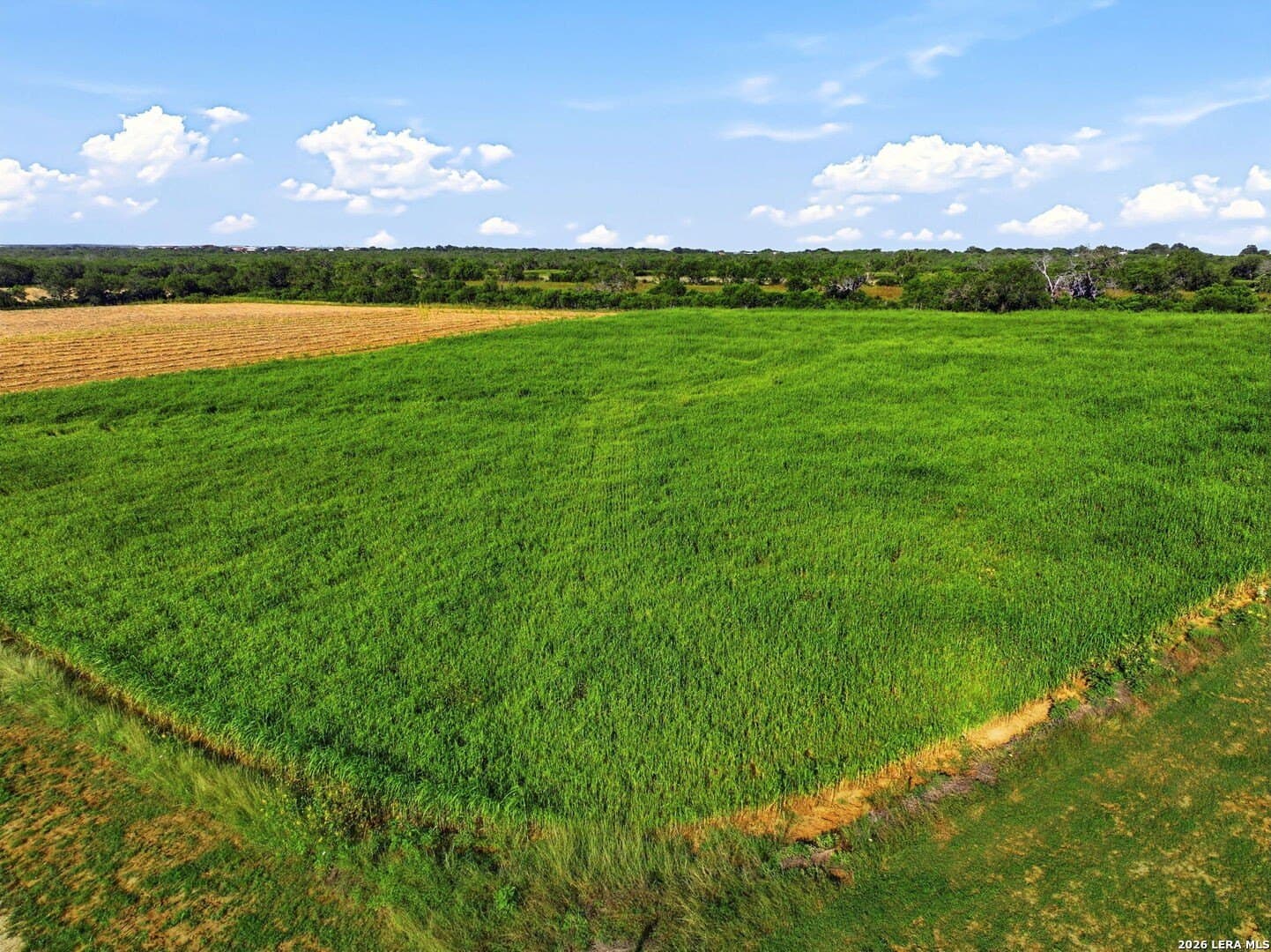 26 acres in Bexar County - photo 22