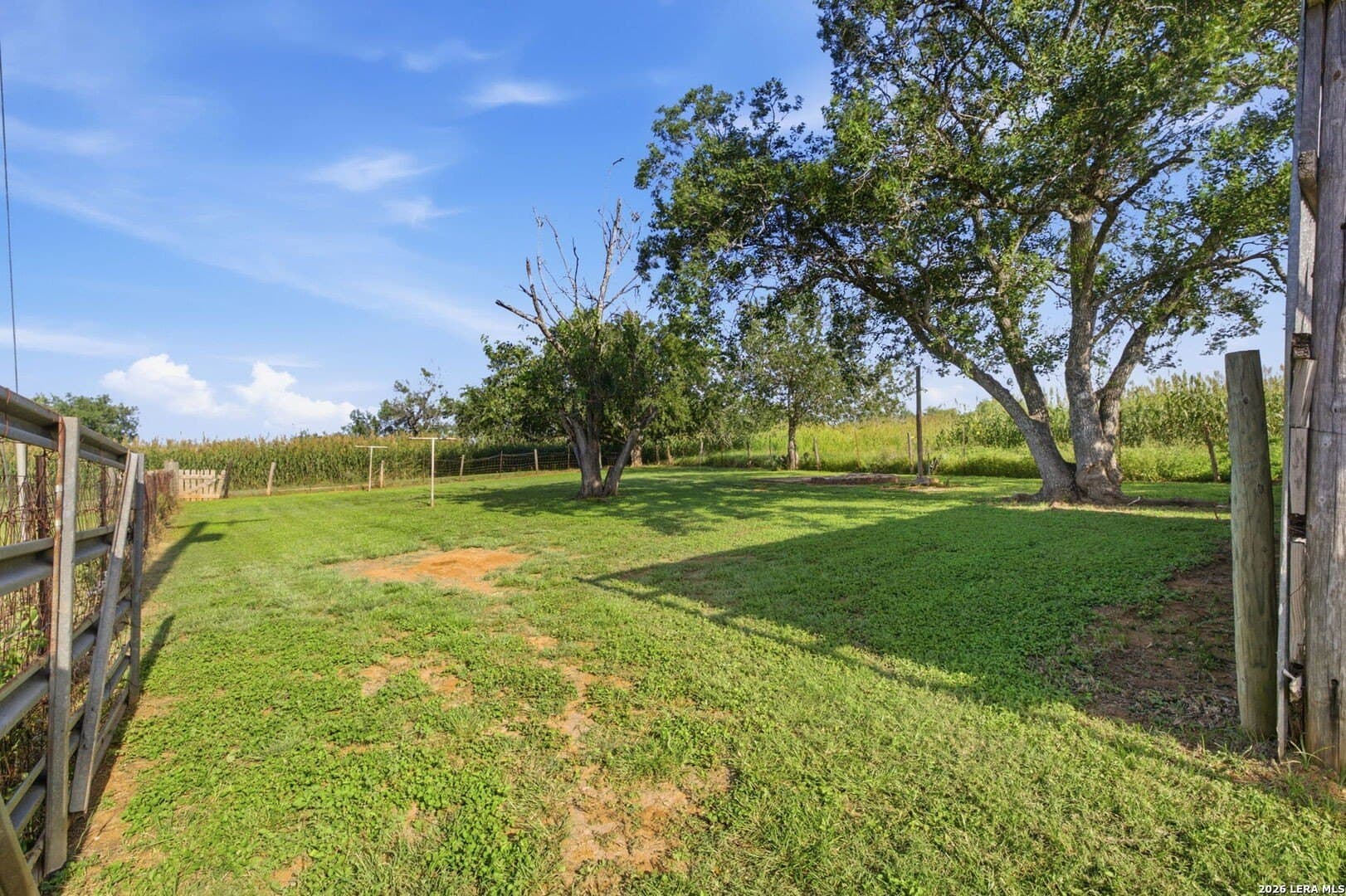 26 acres in Bexar County - photo 14