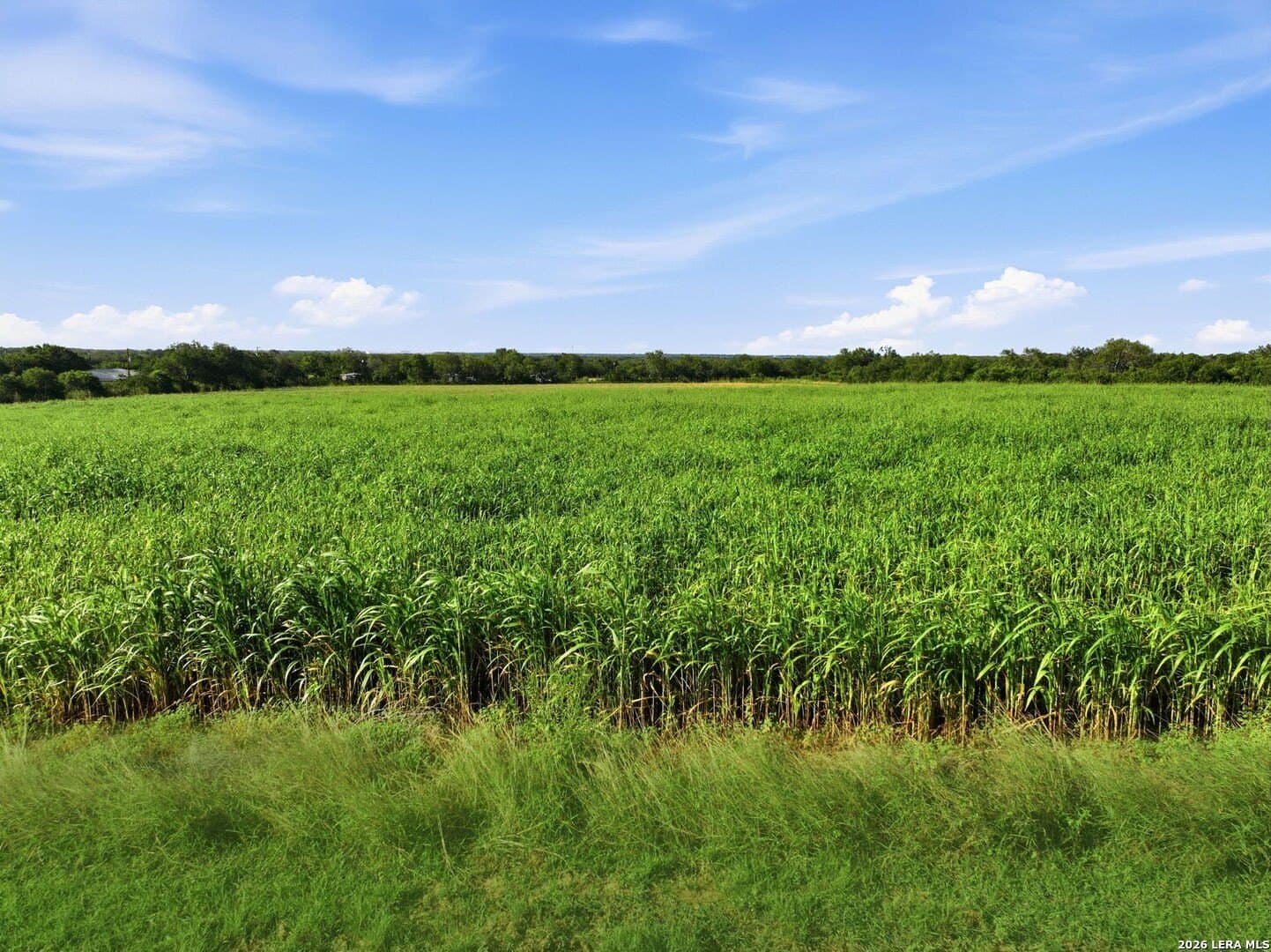26 acres in Bexar County - photo 21