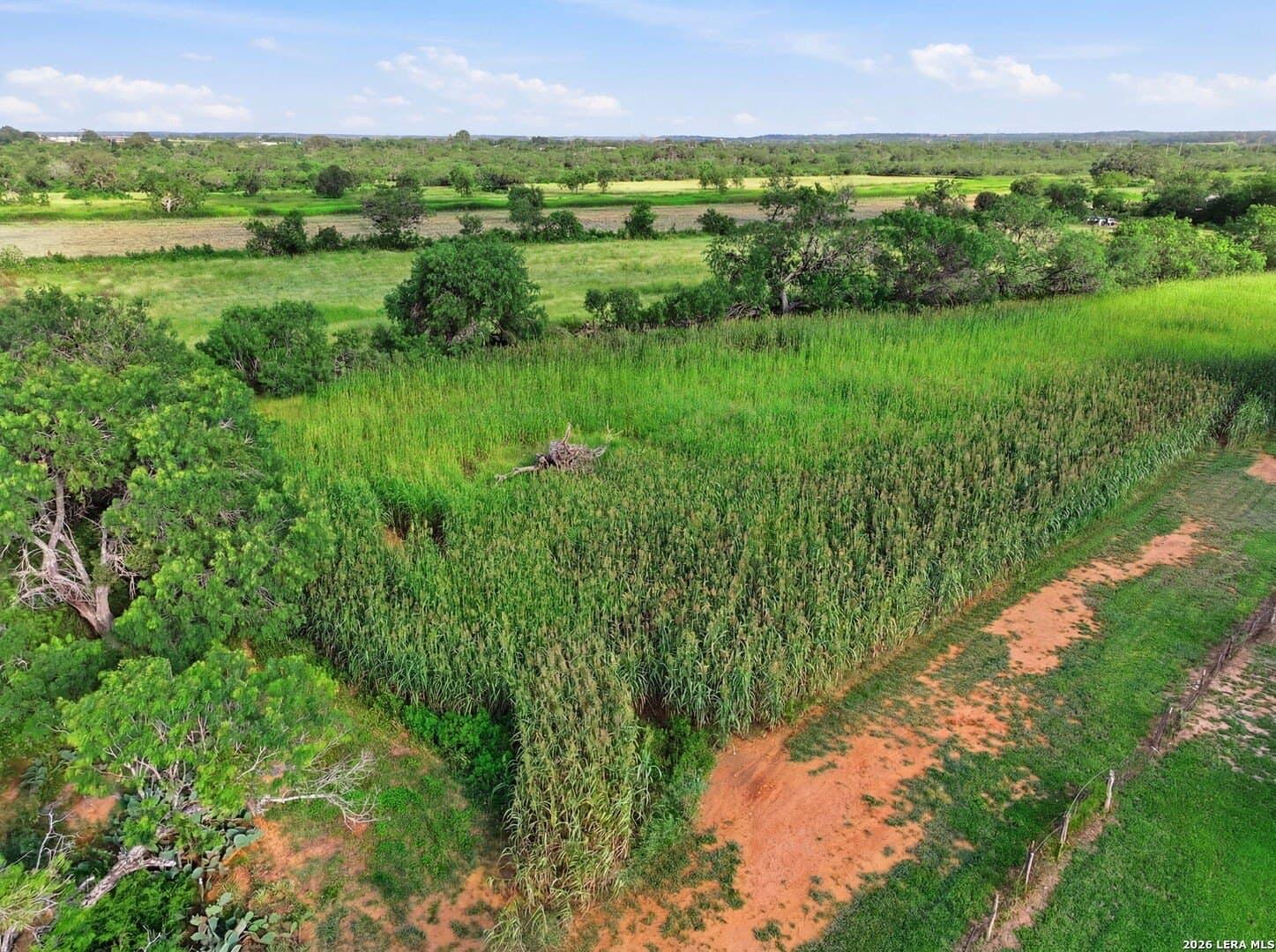26 acres in Bexar County - photo 23