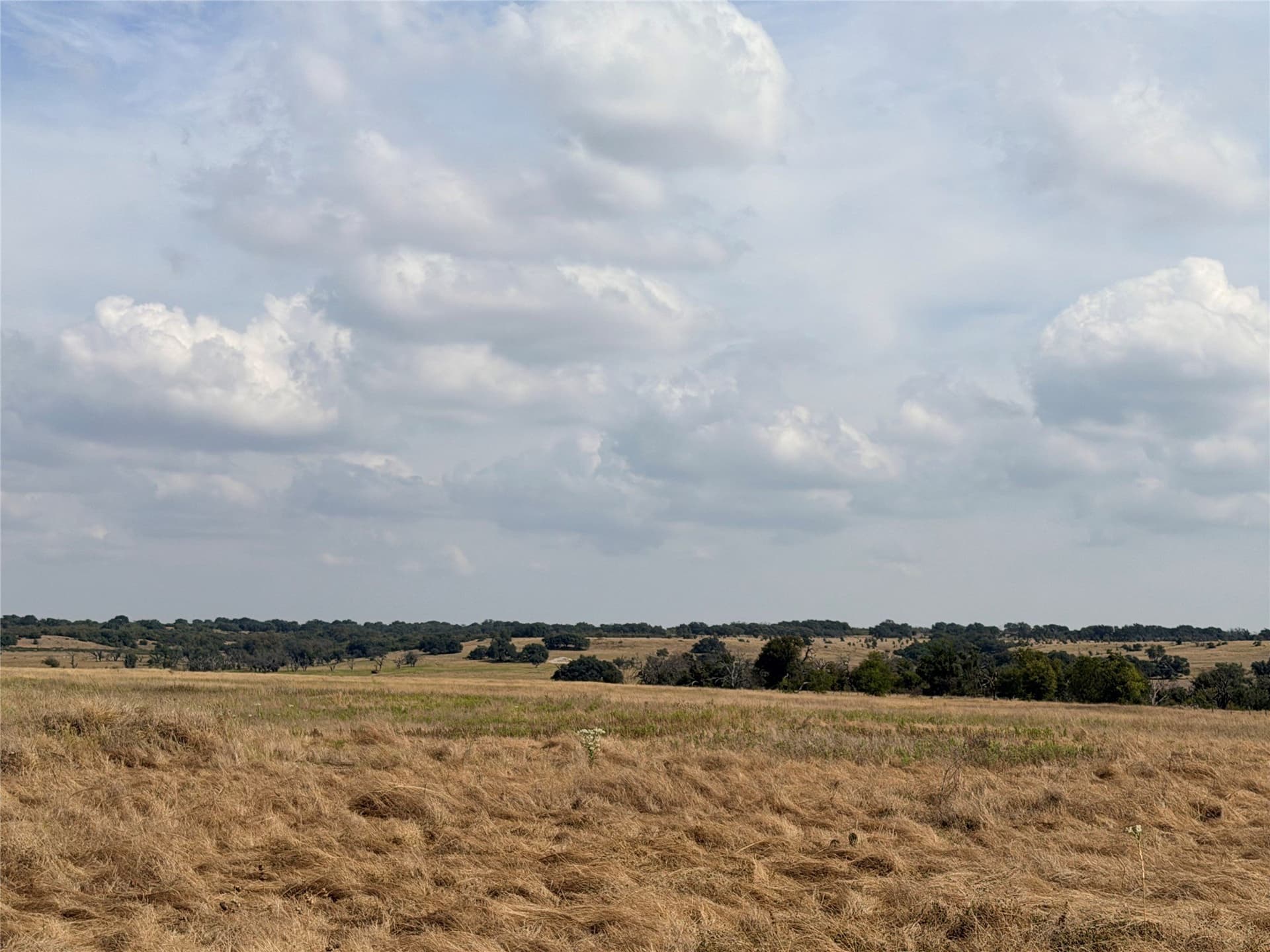 26.7 acres in Hamilton County - photo 3