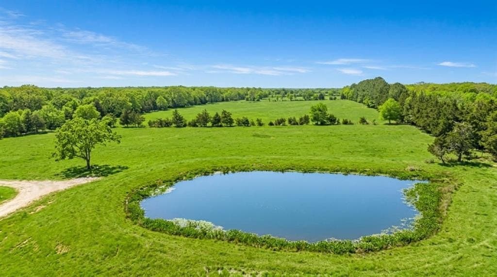 8.3 acres in Lamar County gallery image 4