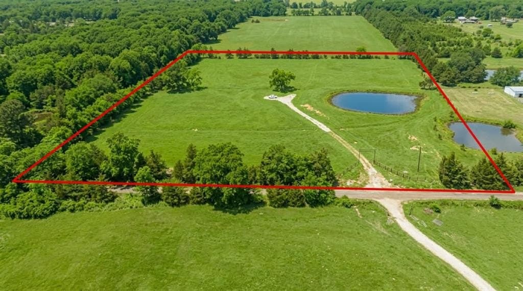 8.3 acres in Lamar County gallery image 2
