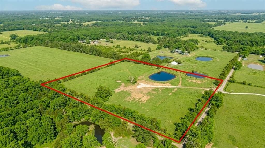 8.3 acres in Lamar County gallery image 3