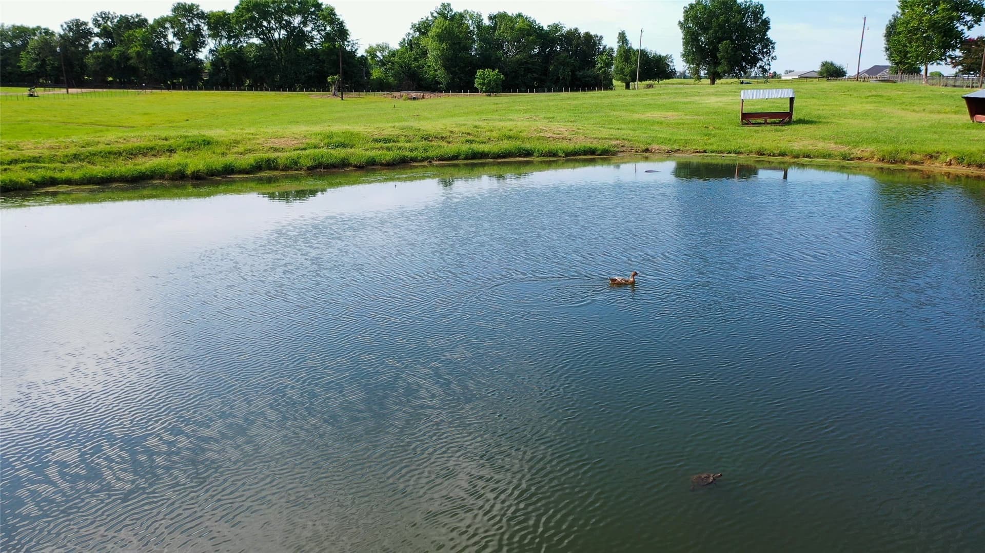 13 acres in Lamar County - photo 26