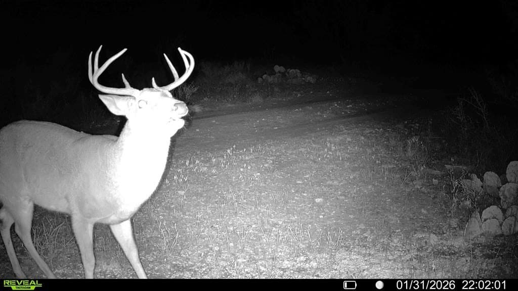 93 acres in McCulloch County - photo 56