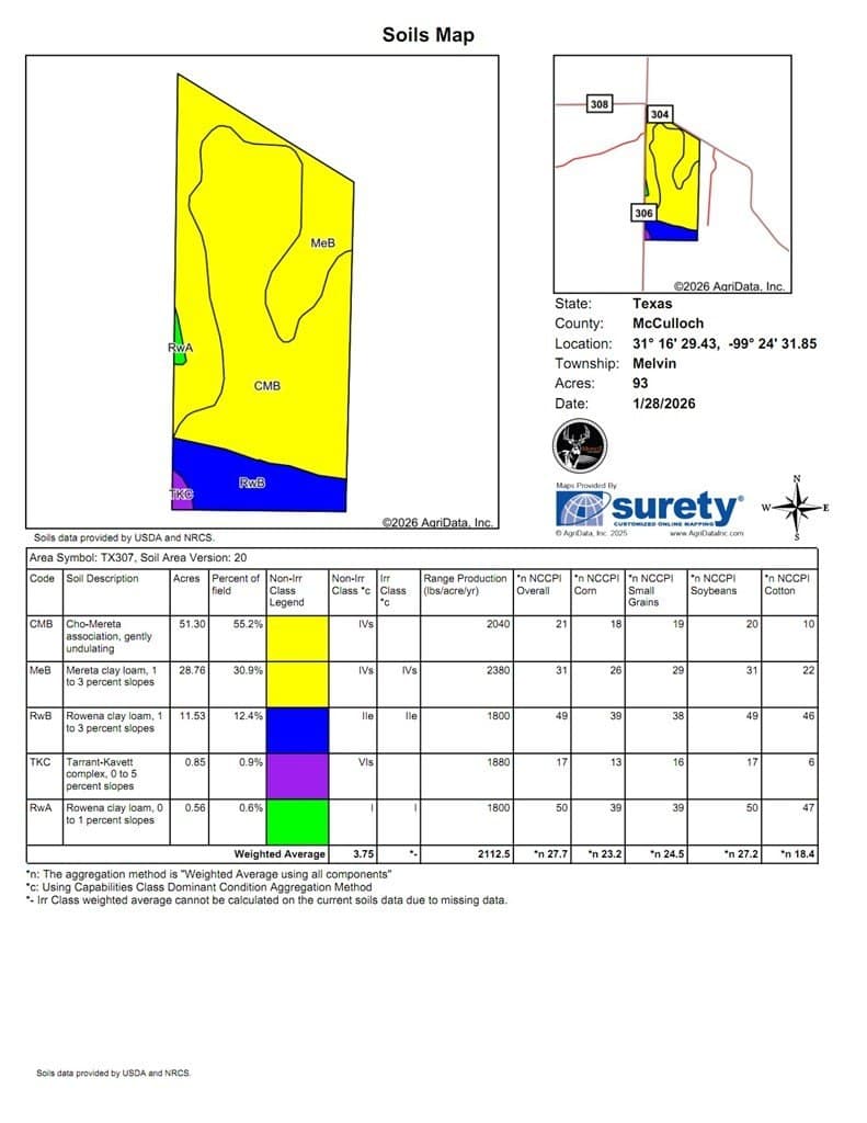 93 acres in McCulloch County - photo 60