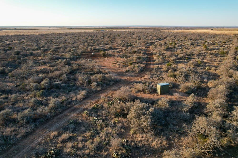 93 acres in McCulloch County gallery image 4