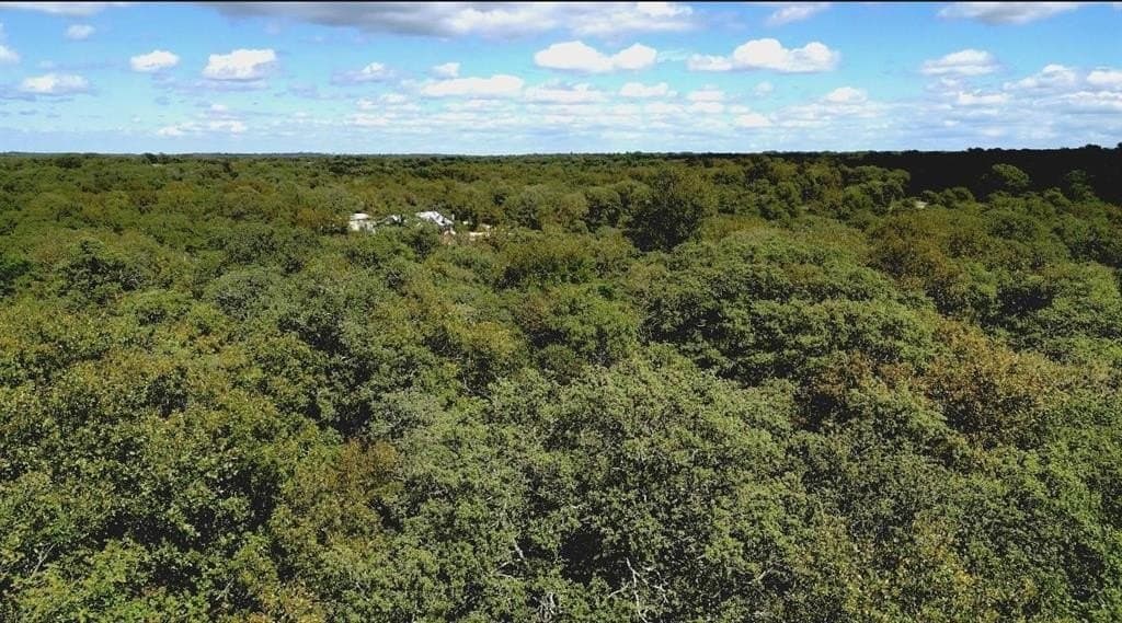 5 acres in Montague County featured view