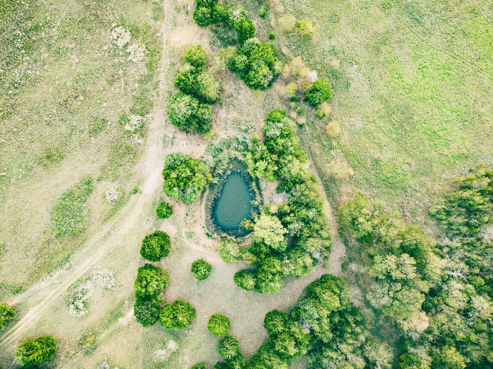 111.79 acres in Van Zandt County - photo 10