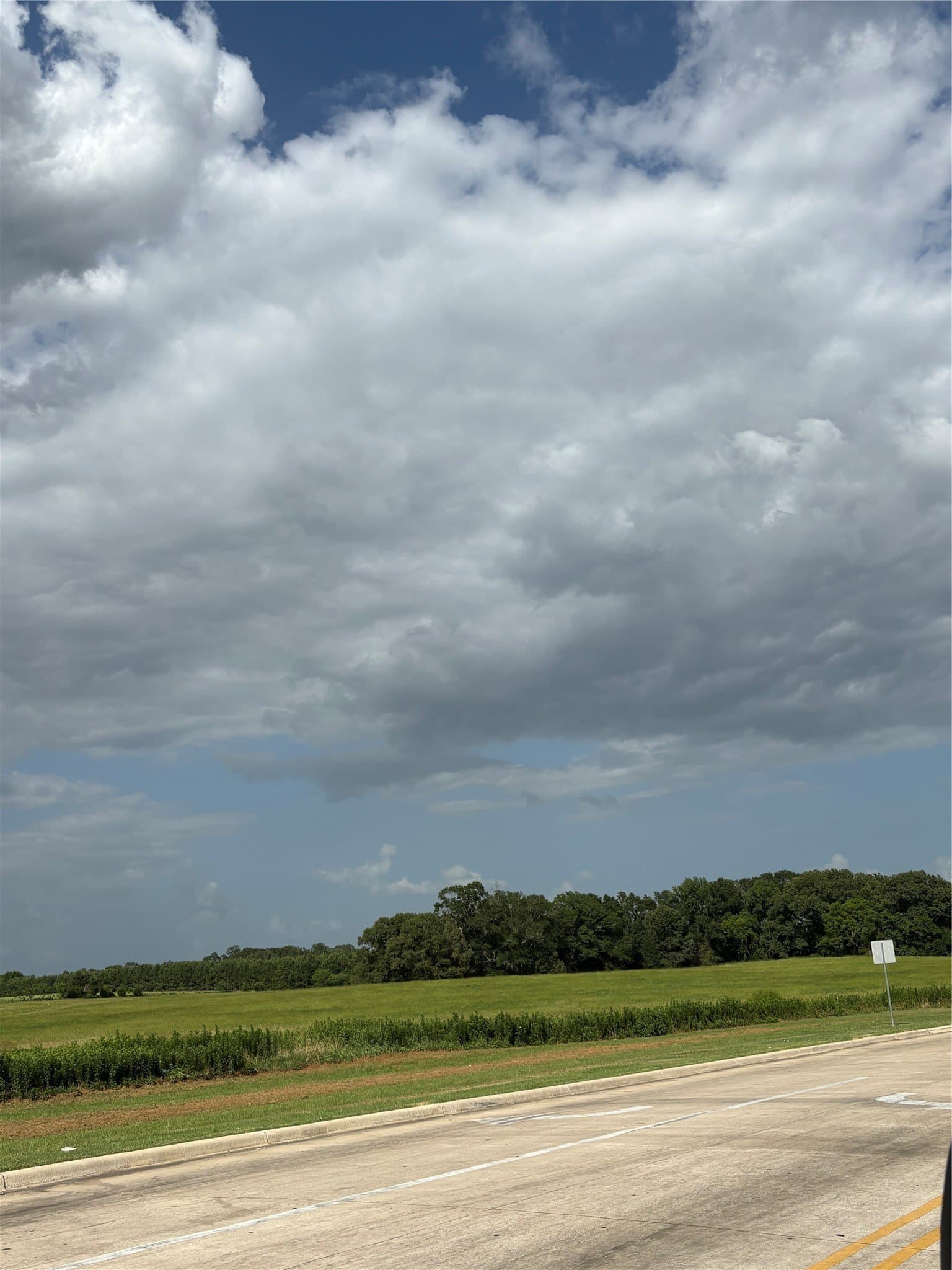17.4 acres in Camp County - photo 7