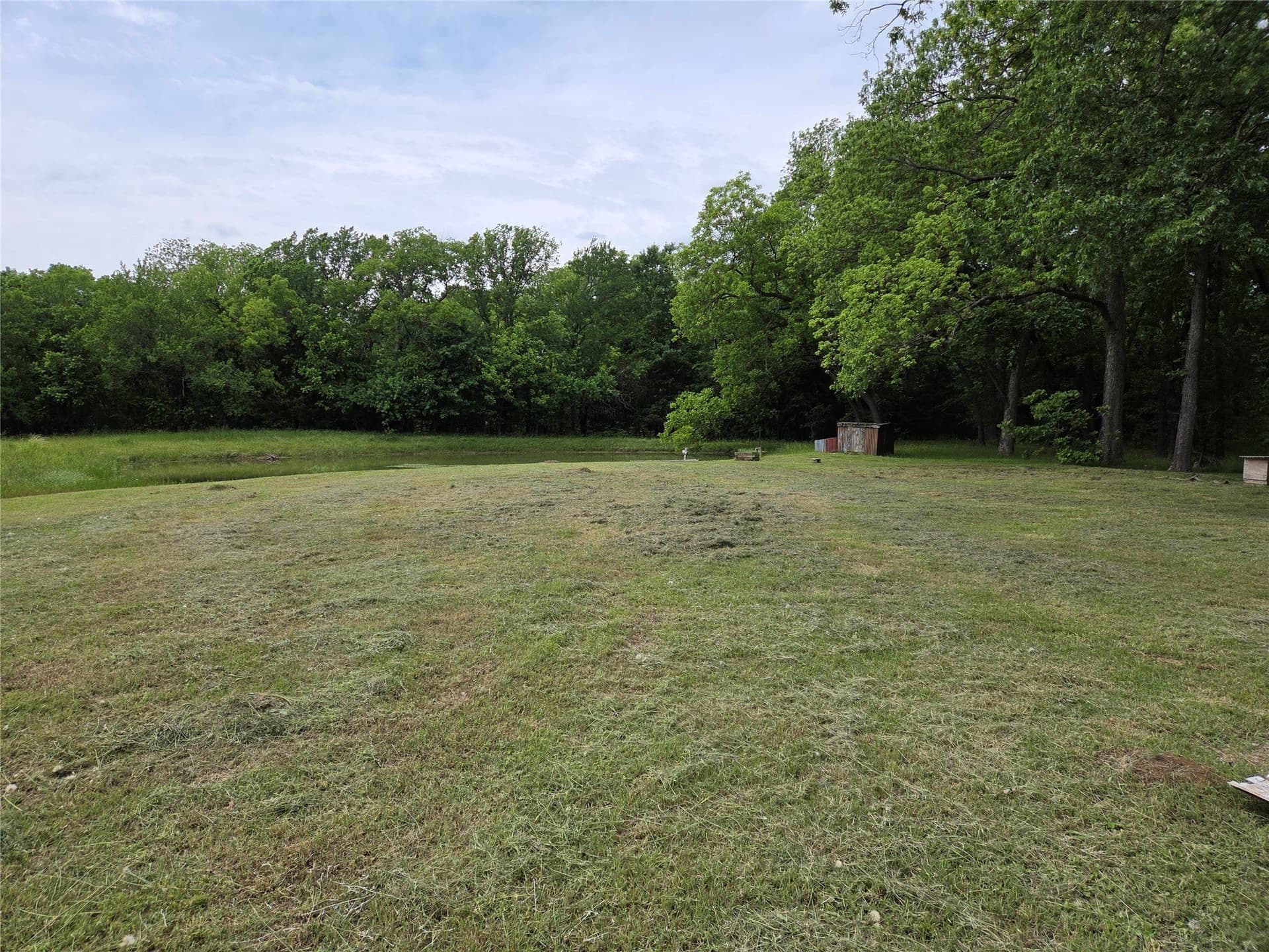 34.93 acres in Fannin County gallery image 3