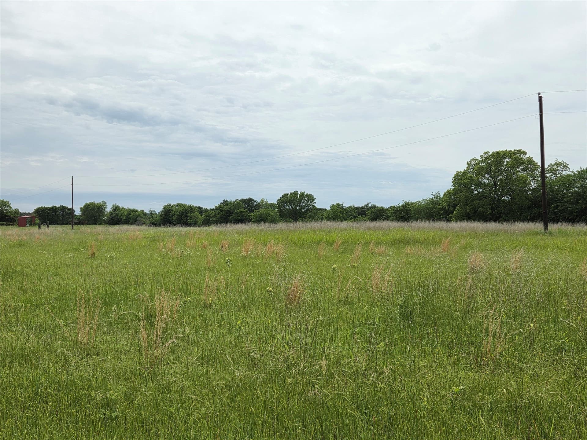 34.93 acres in Fannin County gallery image 4