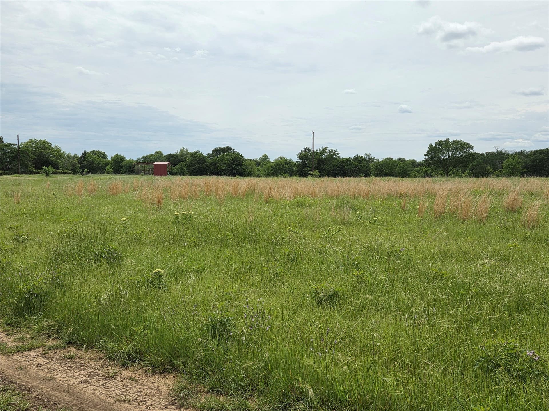 34.93 acres in Fannin County featured view
