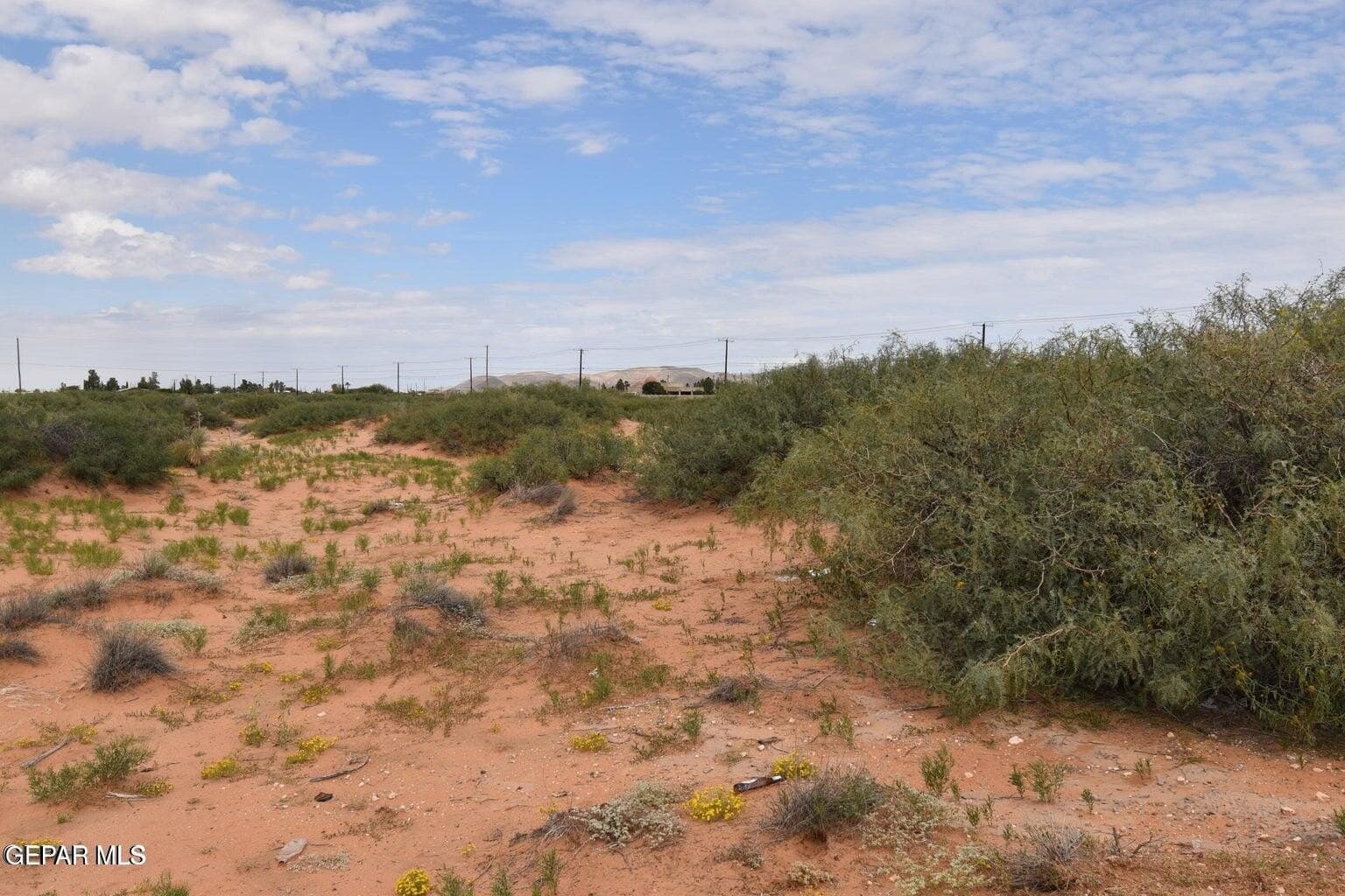 1 acres in El Paso County gallery image 3