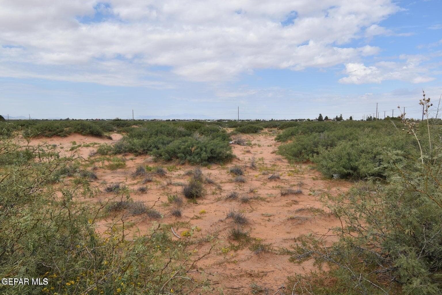 1 acres in El Paso County gallery image 2