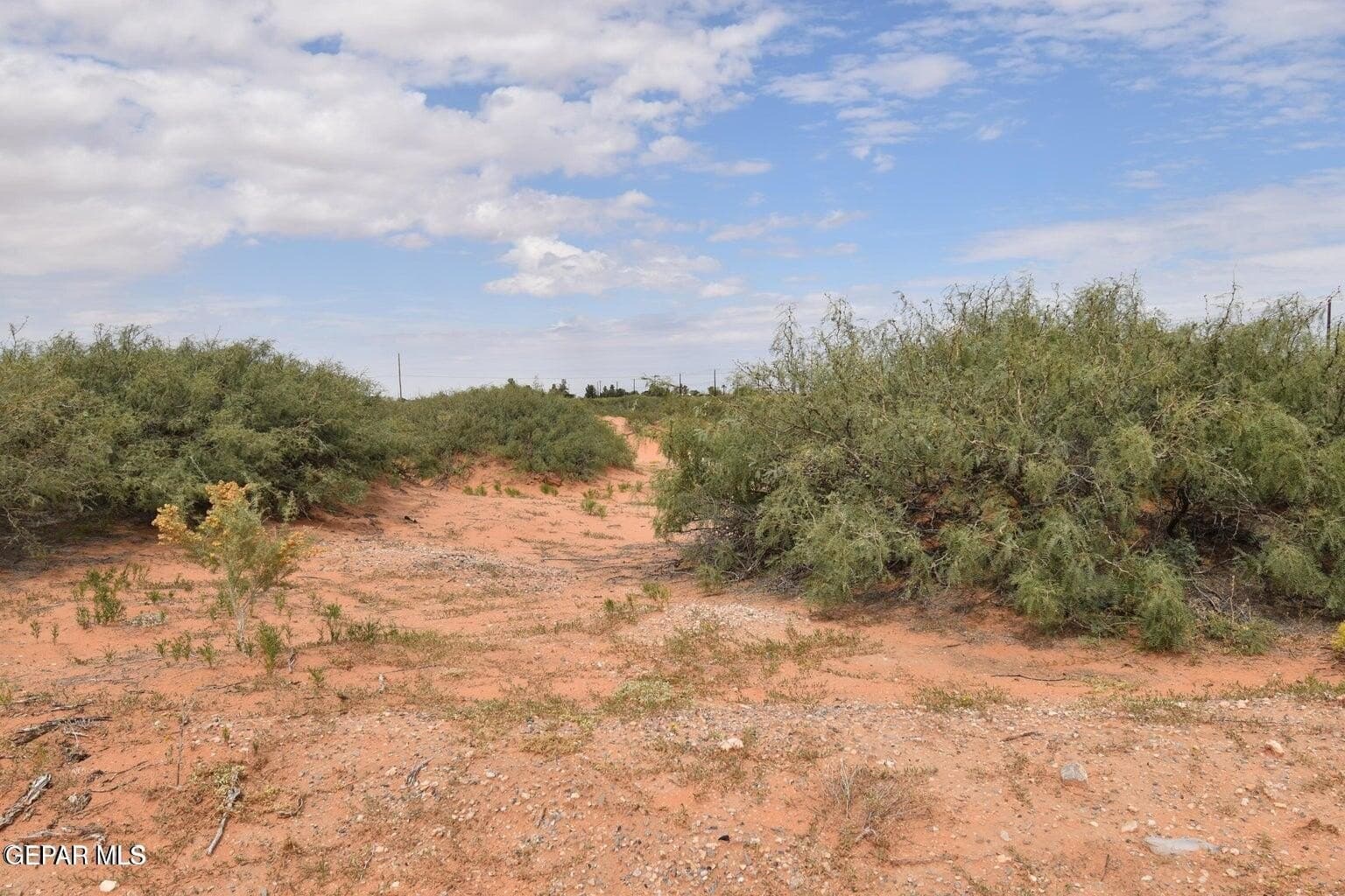 1 acres in El Paso County gallery image 4