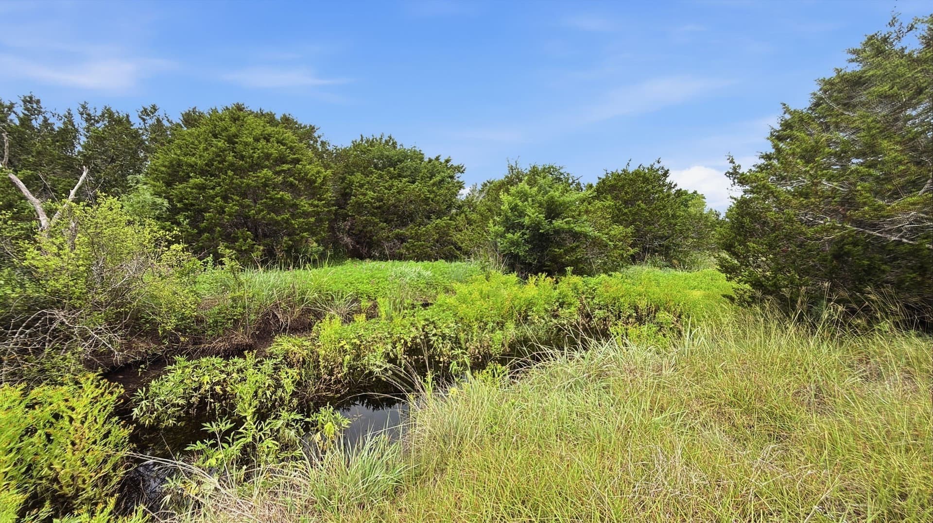 10.01 acres in Hamilton County - photo 14