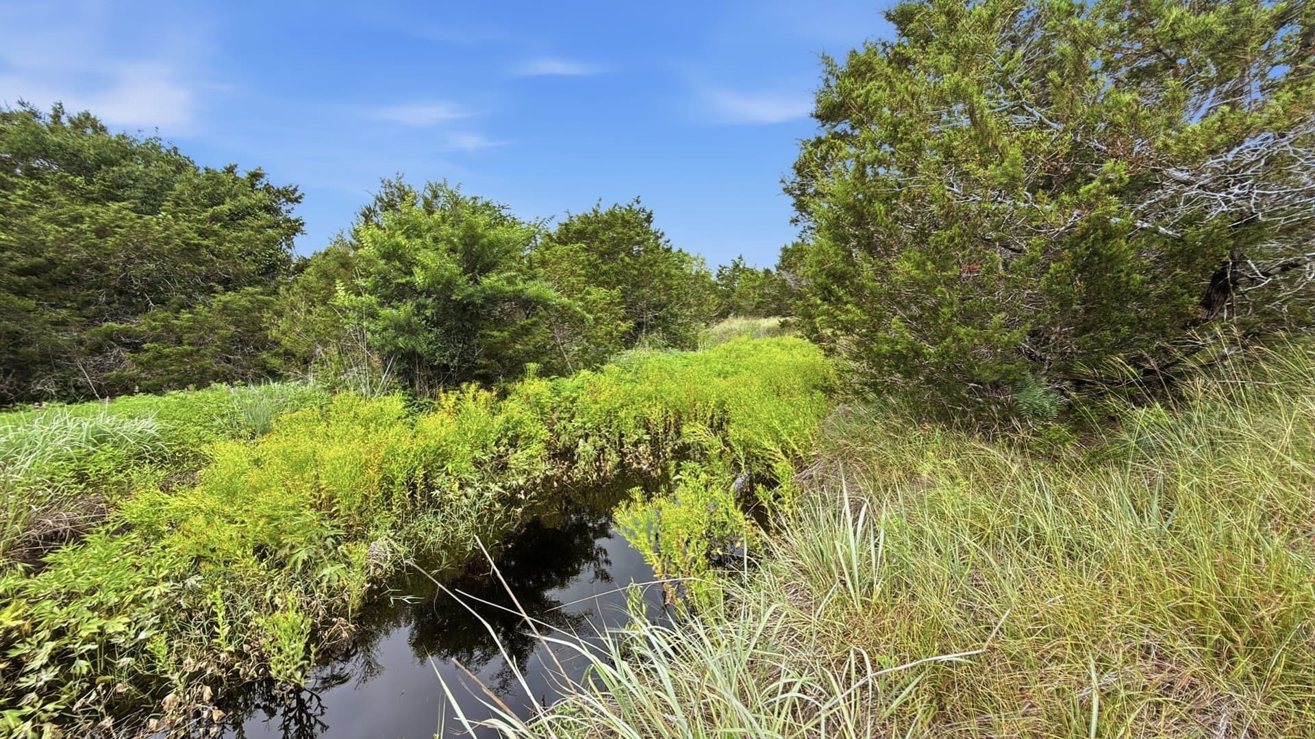 10.01 acres in Hamilton County gallery image 2