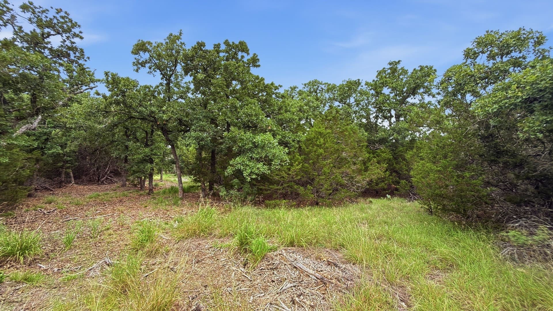 10.01 acres in Hamilton County - photo 10