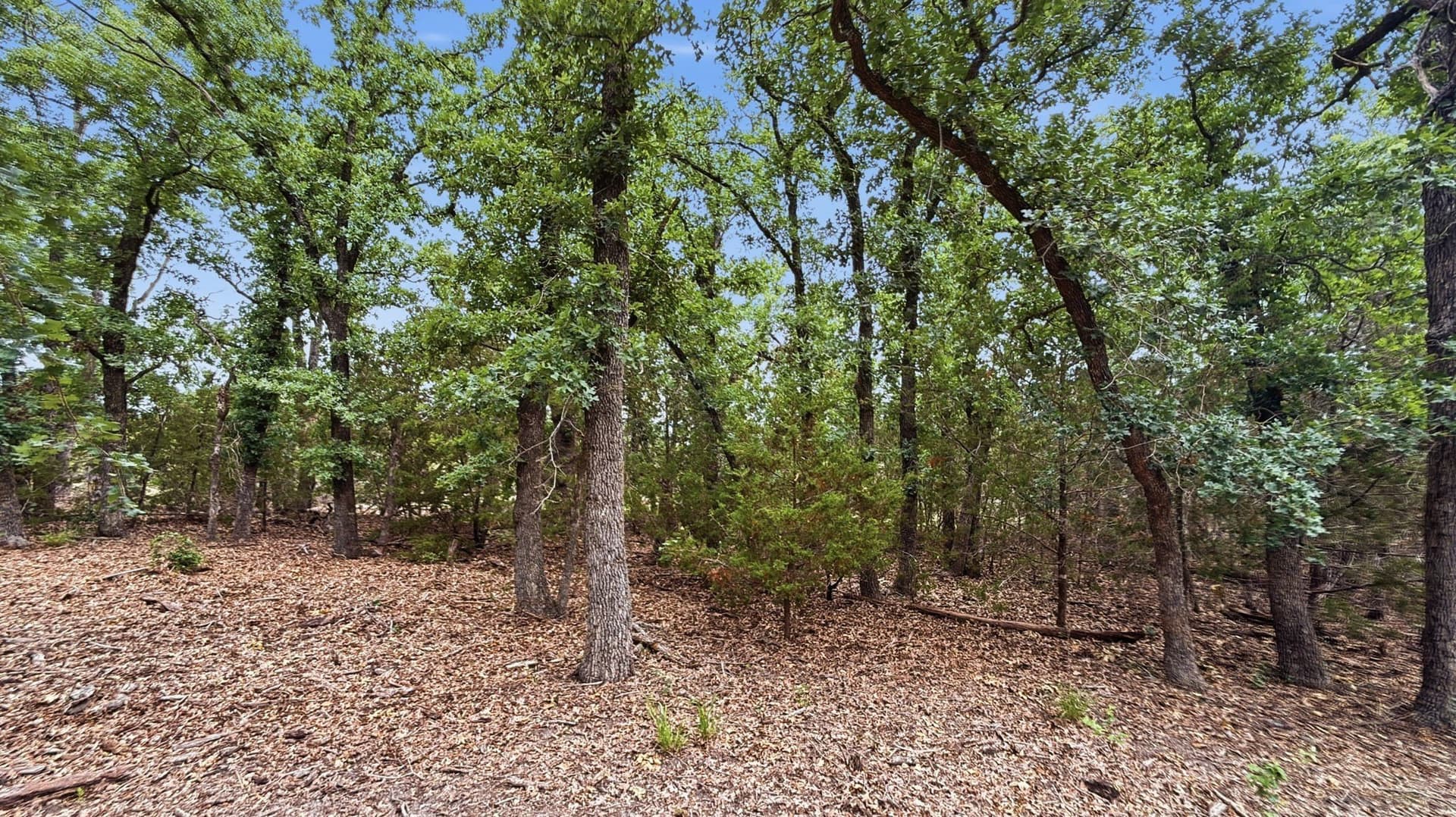 10.01 acres in Hamilton County - photo 11