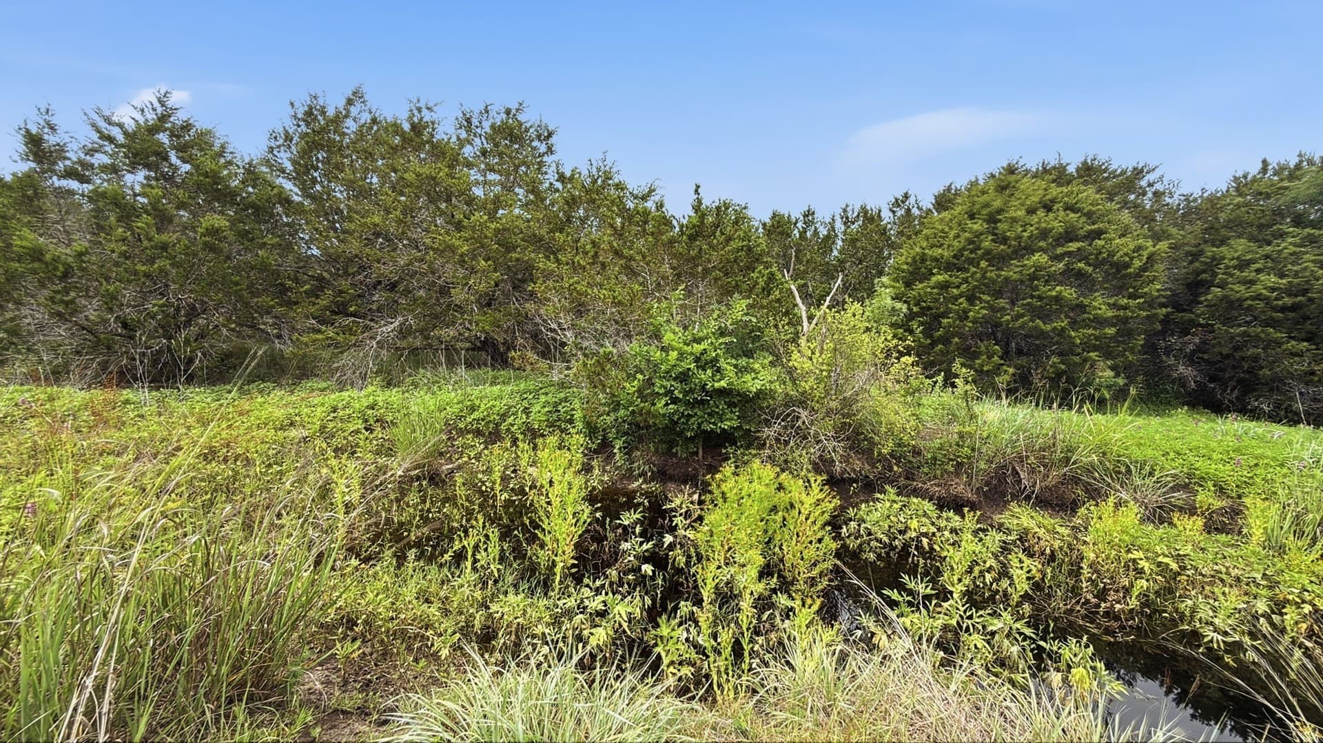 10.01 acres in Hamilton County - photo 15