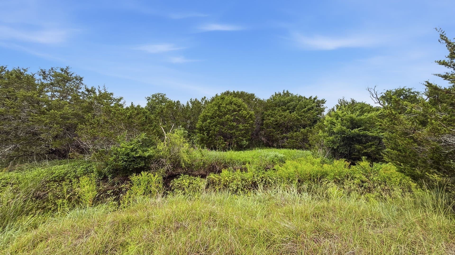 10.01 acres in Hamilton County - photo 13