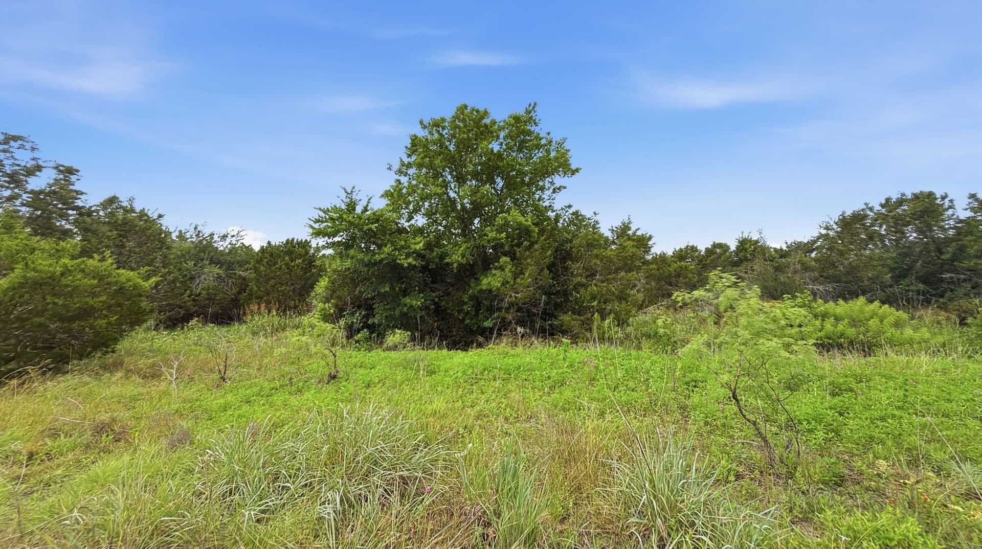 10.01 acres in Hamilton County - photo 17