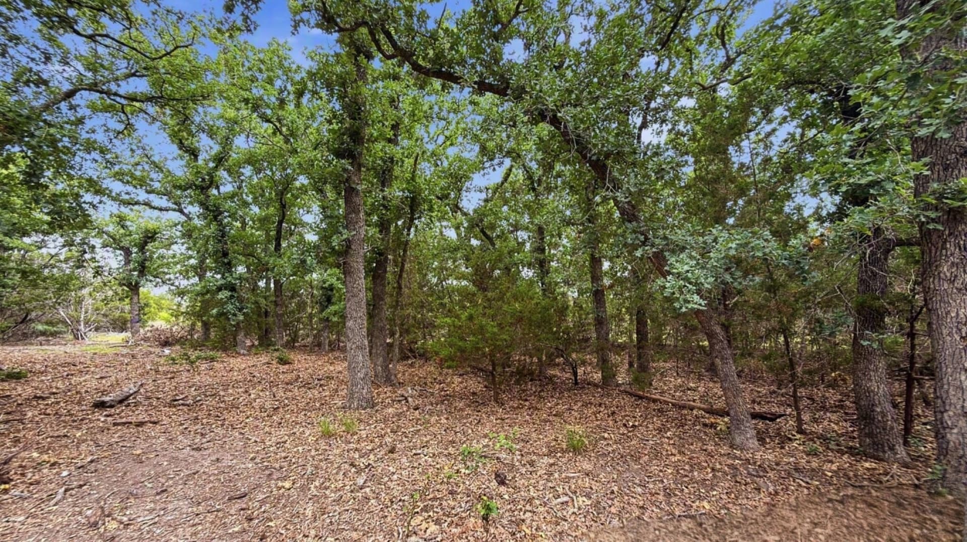 10.01 acres in Hamilton County