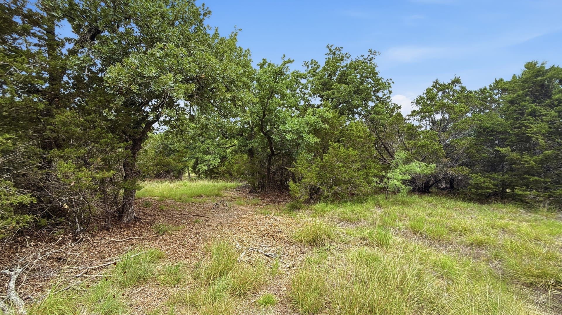 10.01 acres in Hamilton County - photo 9