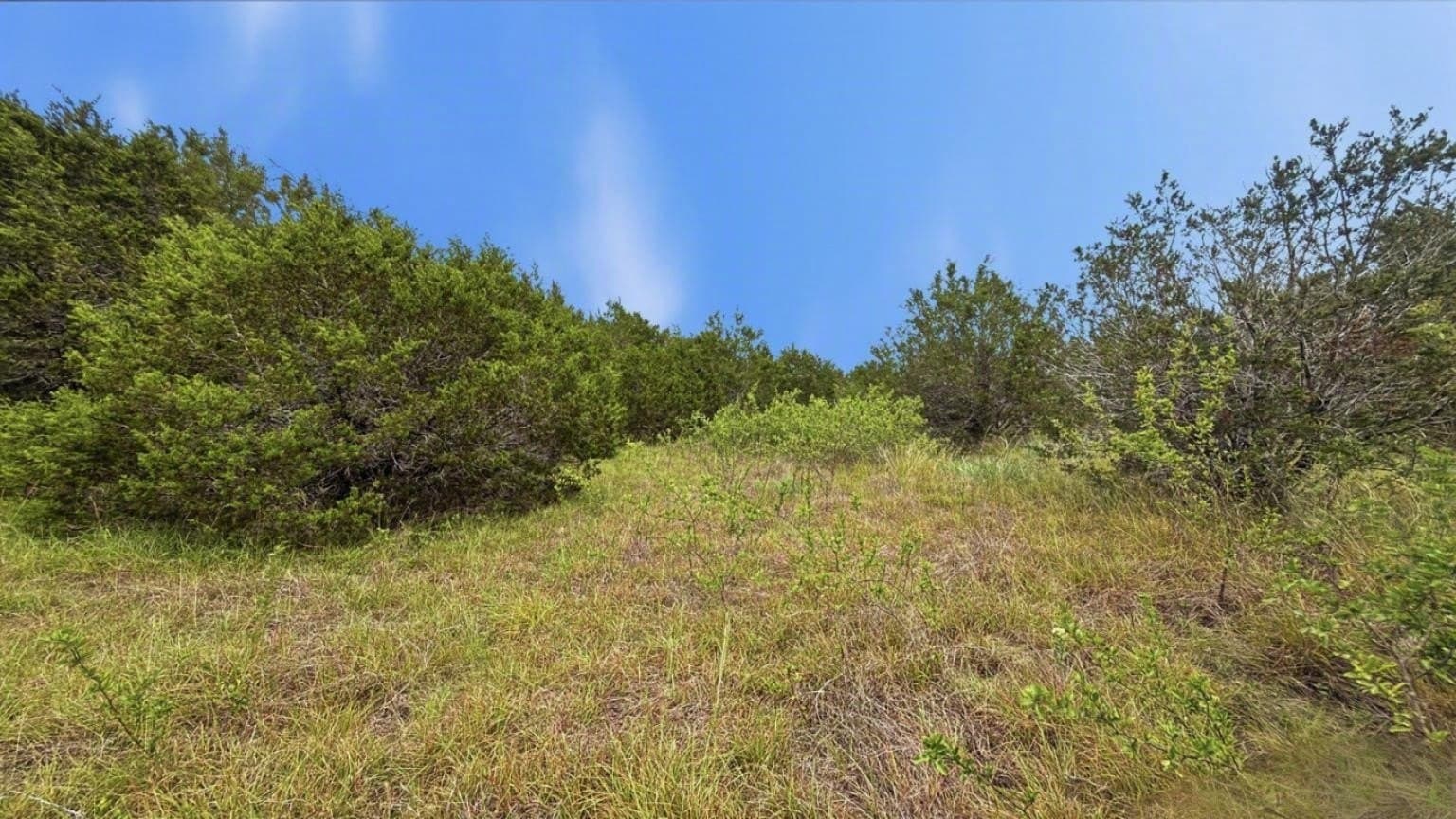 10.01 acres in Hamilton County - photo 6