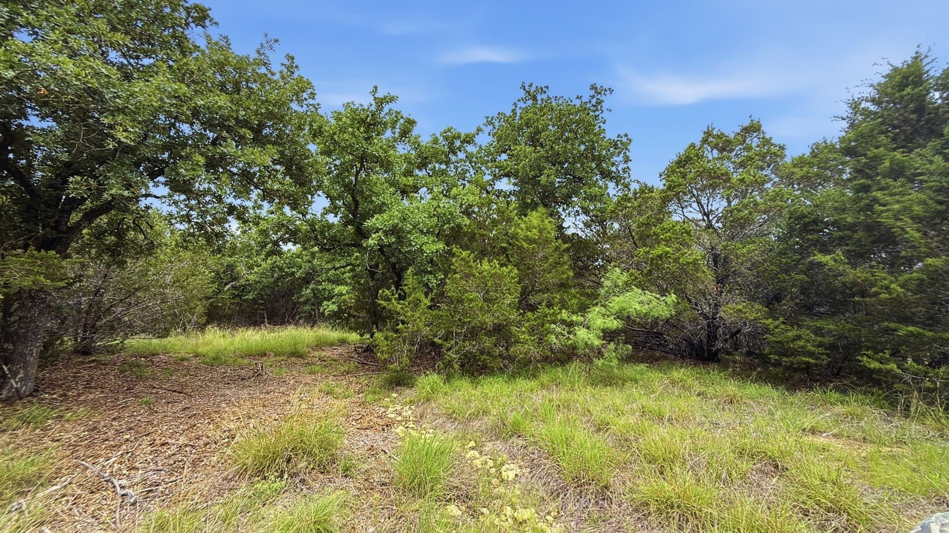 10.01 acres in Hamilton County - photo 8