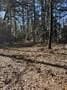 2.06 acres in Wood County - photo 10