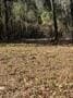 2.06 acres in Wood County - photo 14
