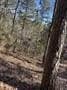 2.06 acres in Wood County - photo 7