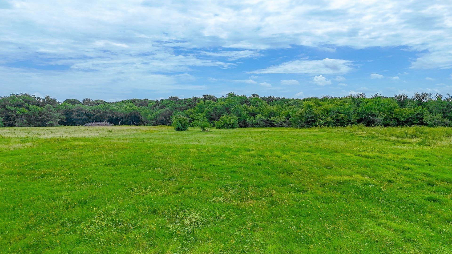 2 acres in Navarro County - photo 8