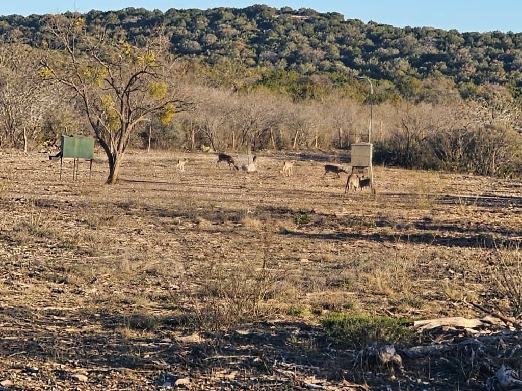 348 acres in Edwards County - photo 32