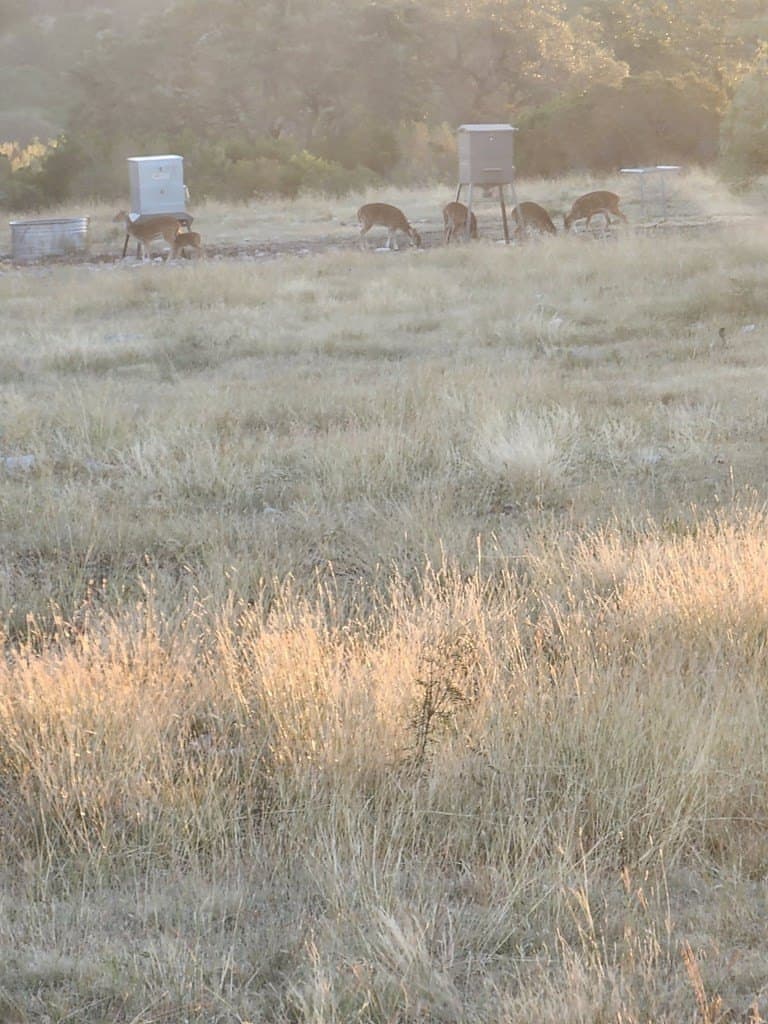 348 acres in Edwards County - photo 34