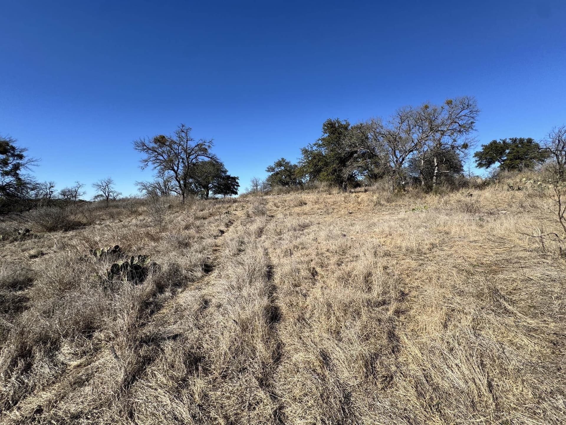 0.49 acres in Llano County - photo 6